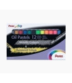 CERAS PENTEL OIL PASTEL MET/FLUOR EST. 1