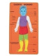 GOMA EVA FIXO PUZZLE 20x32 CUERPO HUMANO
