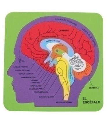 GOMA EVA FIXO PUZZLE 21x21 SISTEMA CEREB