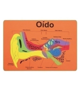GOMA EVA FIXO PUZZLE 26x36 SISTEMA AUDIT