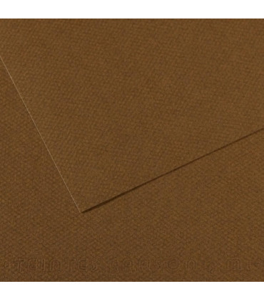 LAMINA MI-TEINTES 50x65 PAQ.10h (501)