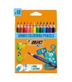 LAPICES COLOR BIC KIDS EVOLUT.TRIANG.12