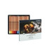 LAPICES COLOR LYRA POLYCOLOR EST.24