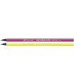 LAPIZ BIC EVOLUTION FLUOR