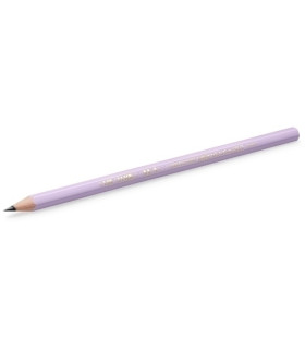LAPIZ BIC EVOLUTION PASTEL