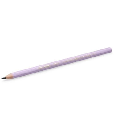 LAPIZ BIC EVOLUTION PASTEL