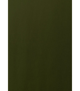 PAPEL REGALO BOBINA TV 70x100 KRAFT VERD