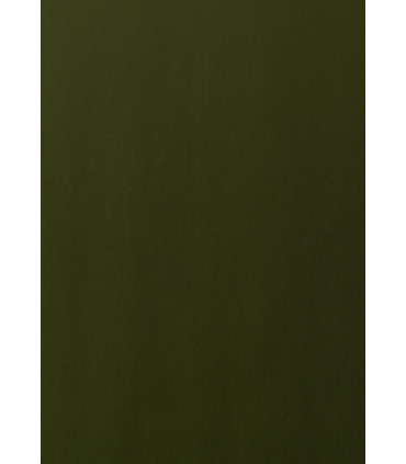 PAPEL REGALO BOBINA TV 70x100 KRAFT VERD