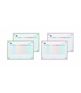 PLANNING OXFORD DESK PLANNER W/M