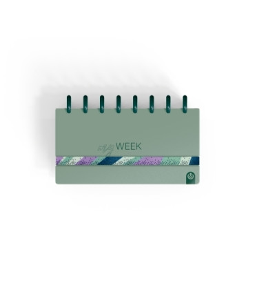 AG.CARCHIVO INGENIOX  MY WEEK VERDE
