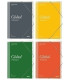 QUADERN PROFESSOR ADDITIO CARP. GLOBAL