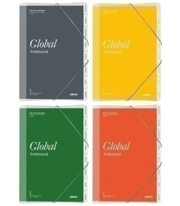 QUADERN PROFESSOR ADDITIO CARP. GLOBAL