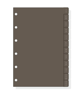 RECAM.AG.F. C261 CLASSIC 602 INDICE PLAS