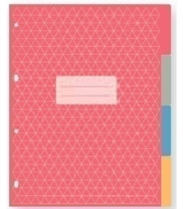 RECAM.AG.SENF. PLANNER 195x260 4 SEPARAD