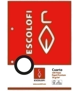 RECAMBIO ESCOLOFI A4 100h 2 TAL. MM.3x3x