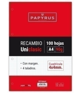 RECAMBIO PAPYRUS A4 100h 4 TAL.CD.4 C/M