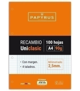 RECAMBIO PAPYRUS A4 100h 4 TAL.MM C/M