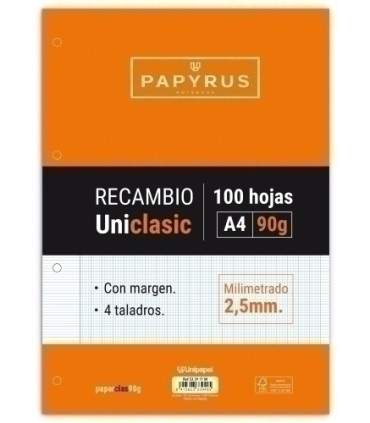 RECAMBIO PAPYRUS A4 100h 4 TAL.MM C/M