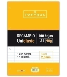 RECAMBIO PAPYRUS A4 100h 4 TAL.P2.5 C/M