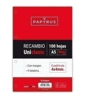 RECAMBIO PAPYRUS A5 100h 4 TAL.CD.4 C/M