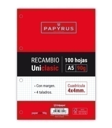 RECAMBIO PAPYRUS A5 100h 4 TAL.CD.4 C/M