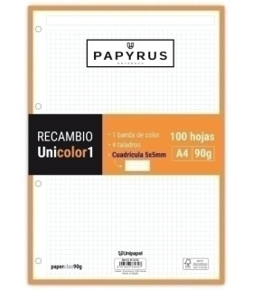 RECAMBIO PAPYRUS A4 100h 4 TAL.CD.5 NAR