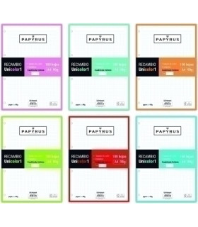 RECAMBIO PAPYRUS A4 100h 4 TAL.CD.5 SUR