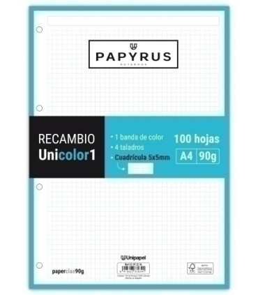 RECAMBIO PAPYRUS A4 100h 4 TAL.CD.5 TUR