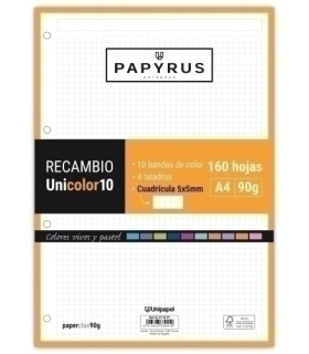 RECAMBIO PAPYRUS A4 160h 4 TAL.CD.5