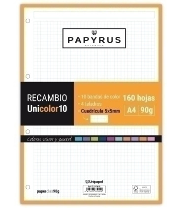 RECAMBIO PAPYRUS A4 160h 4 TAL.CD.5