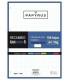 RECAMBIO PAPYRUS A4 100h 4 TAL.CD.5 VIV