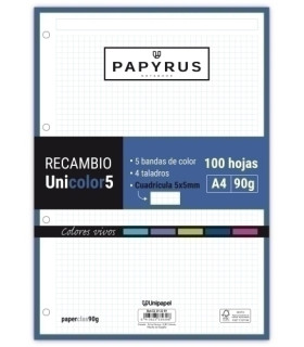 RECAMBIO PAPYRUS A4 100h 4 TAL.CD.5 VIV