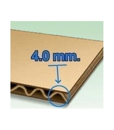 CARTON PREC.MICROCANAL 4mm 70x100 P.18