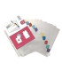 SEPARADORES VIQUEL A4 12 ps./fundas PERS