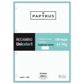 Recambio Papyrus Unicolor1 A4 100h 90g Multitaladro Cuad.5x5 Mint