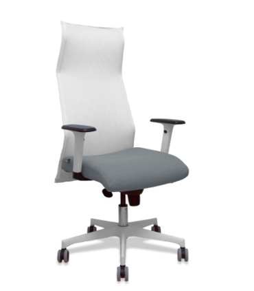 SILLON PIQUERAS SAHUCO DIREC. B.GRIS