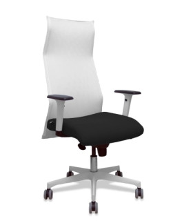 SILLON PIQUERAS SAHUCO DIREC. B.NEGRO