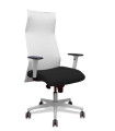 SILLON PIQUERAS SAHUCO DIREC. B.NEGRO