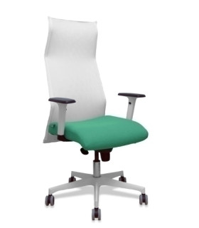 SILLON PIQUERAS SAHUCO DIREC. B.VD ESMER