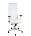 SILLON PIQUERAS SAHUCO DIREC. S.BLANCO