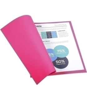 SUBCARP. EXAC. FOREVER 170g A4 FUC P/100