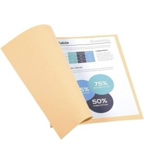 SUBCARP. EXAC. FOREVER 220g A4 CRE P/100