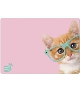 VADE SOBREMESA ERIK ESCOLAR STUDIO PETS