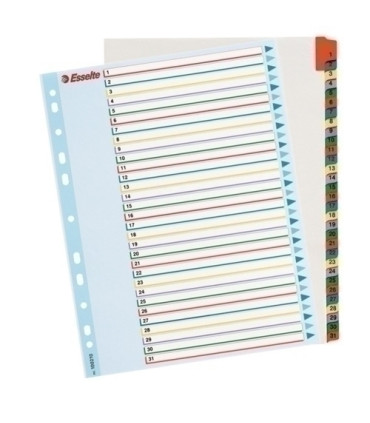 INDICE ESSELTE CART.BORR.NUM.A4+ ps.1-31