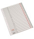 INDICE ESSELTE PP ALF.Fº 20 ps.GRIS