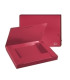 CARP.PROY. FOROFIS PP A4 3 cm ROJO