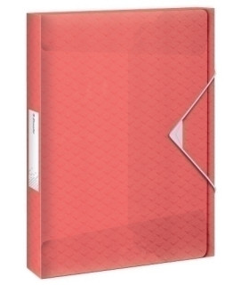 CARP.PROY.ESSELTE PP A4 2,5 cm CORAL
