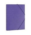 CARP.CLASIF.DOHE Fº 12 DP.MORADO
