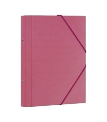 CARP.CLASIF.DOHE Fº 12 DP.ROSA