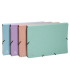 CARP.CLASIF.EXACOMPTA CART.A4+ 12 DP.SUR